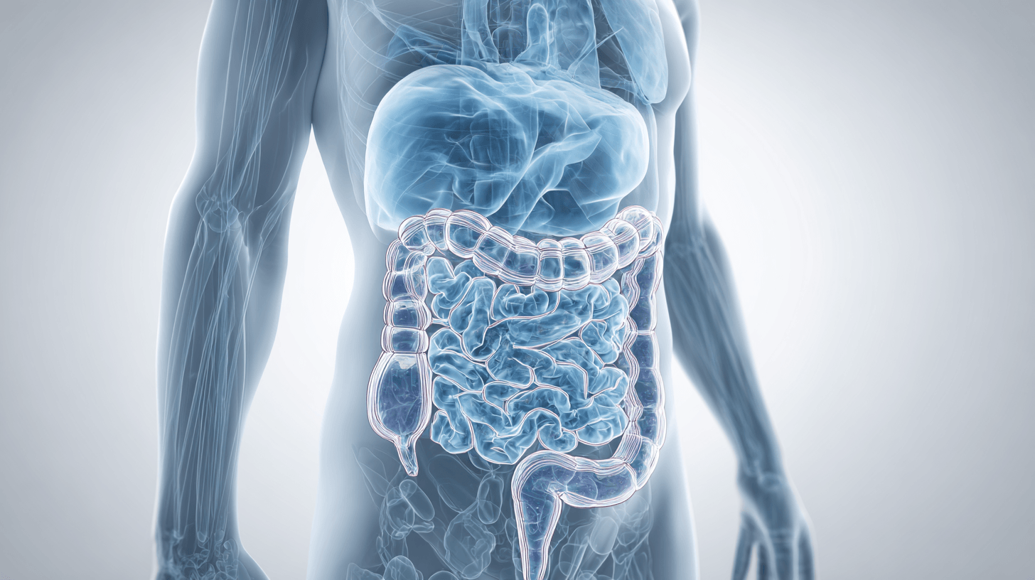 Small Intestine Cancer: Symptoms, Treatment, Surgery, And Ayurvedic Healing Support 5 Medical illustration showing common symptoms of small intestine cancer including abdominal pain, bloating, nausea, fatigue, anemia, weight loss, vomiting, and bowel changes.