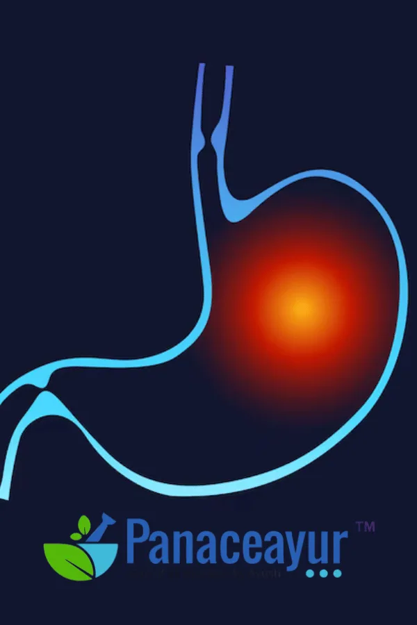 Home 47 Untitled design 24