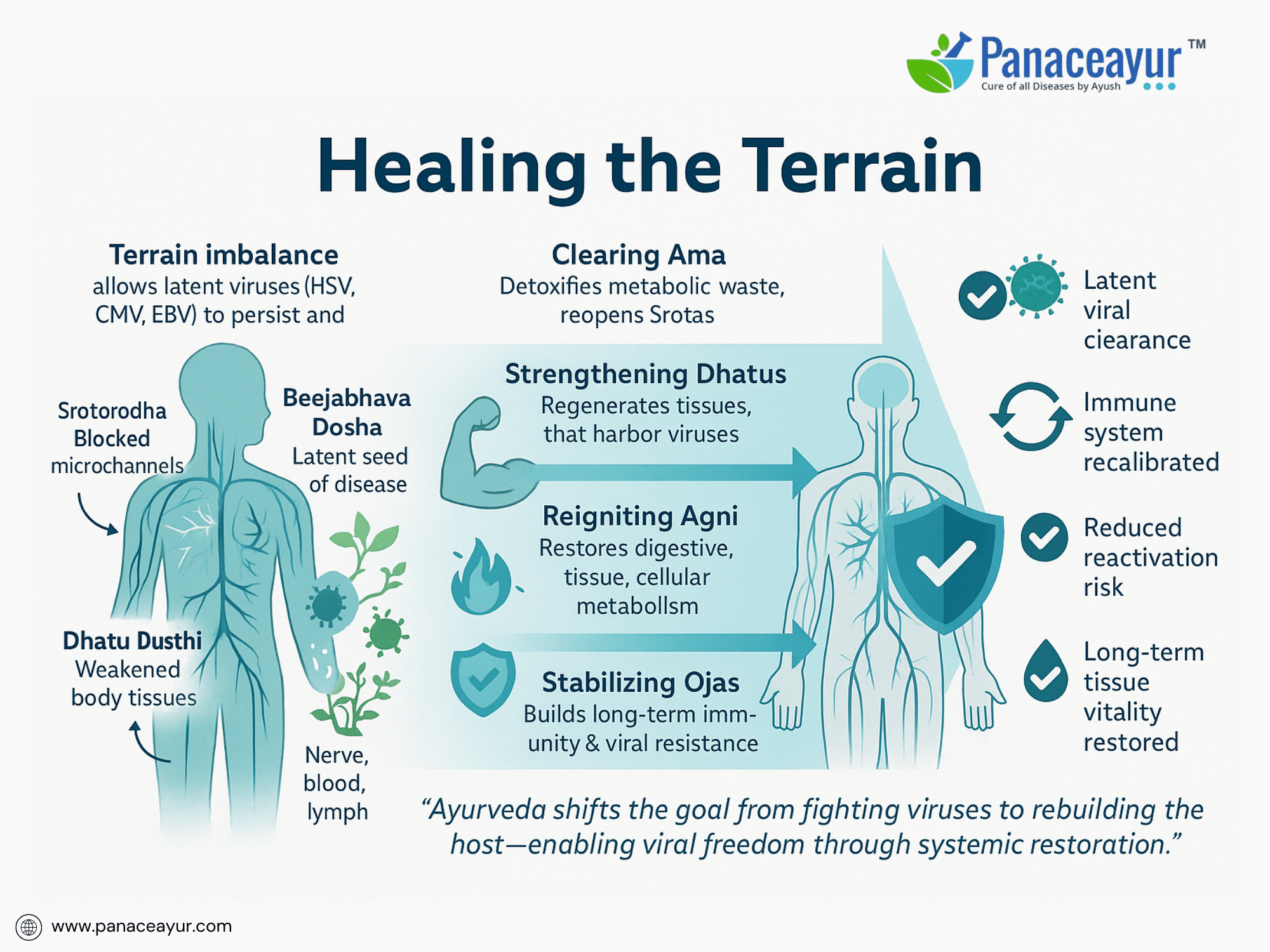 Healing the terrain