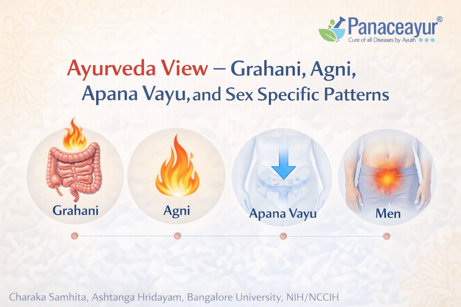 Ayurveda View: Grahani, Agni, Apana Vayu, And Sex Specific Patterns Ayurveda view of ibs showing grahani, agni, and apana vayu with sex specific digestive patterns explained through a clean medical style ayurvedic infographic with panaceayur branding