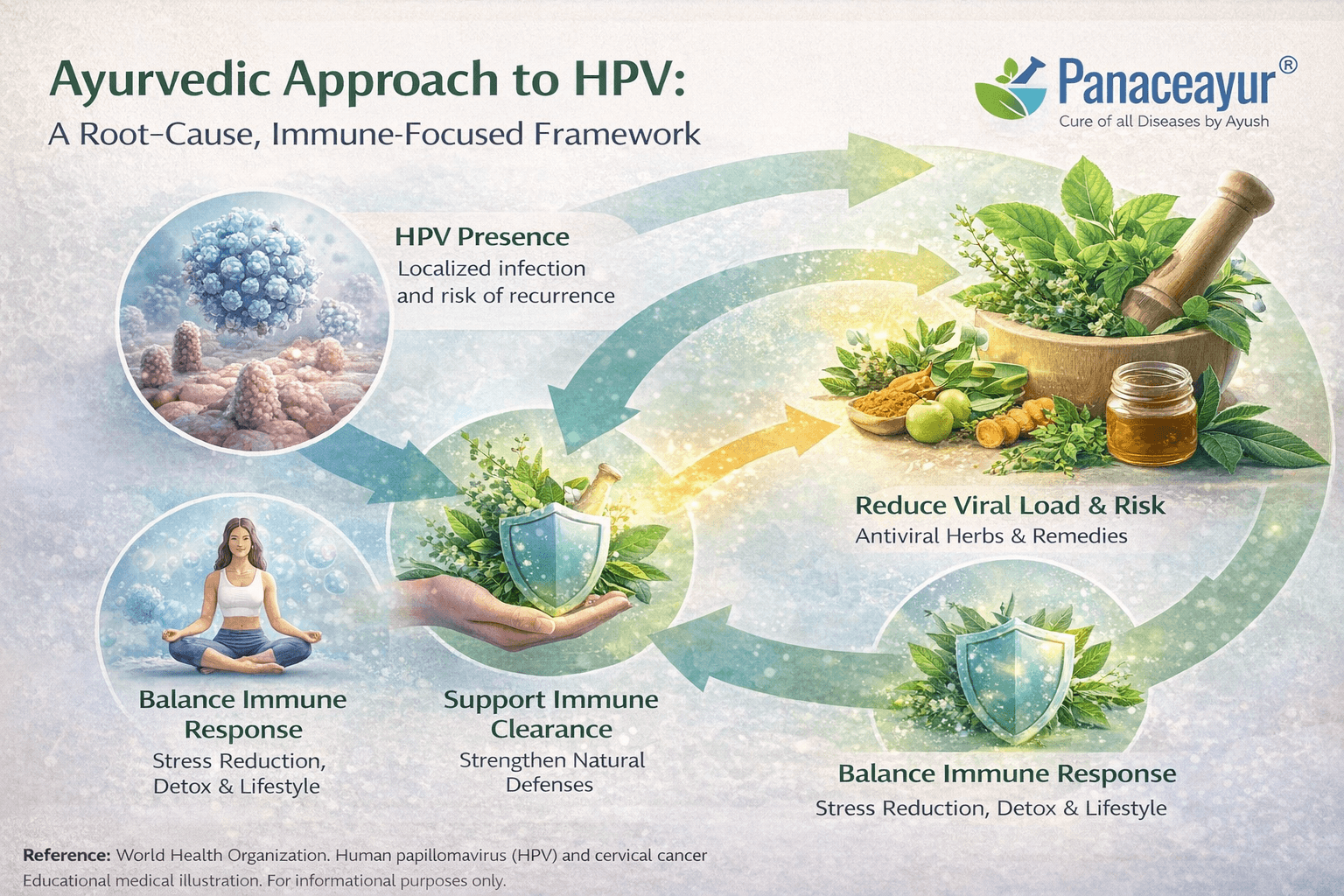 Clinical framework diagram showing how ayurvedic care addresses immune regulation, tissue stability, and underlying factors involved in human papillomavirus persistence