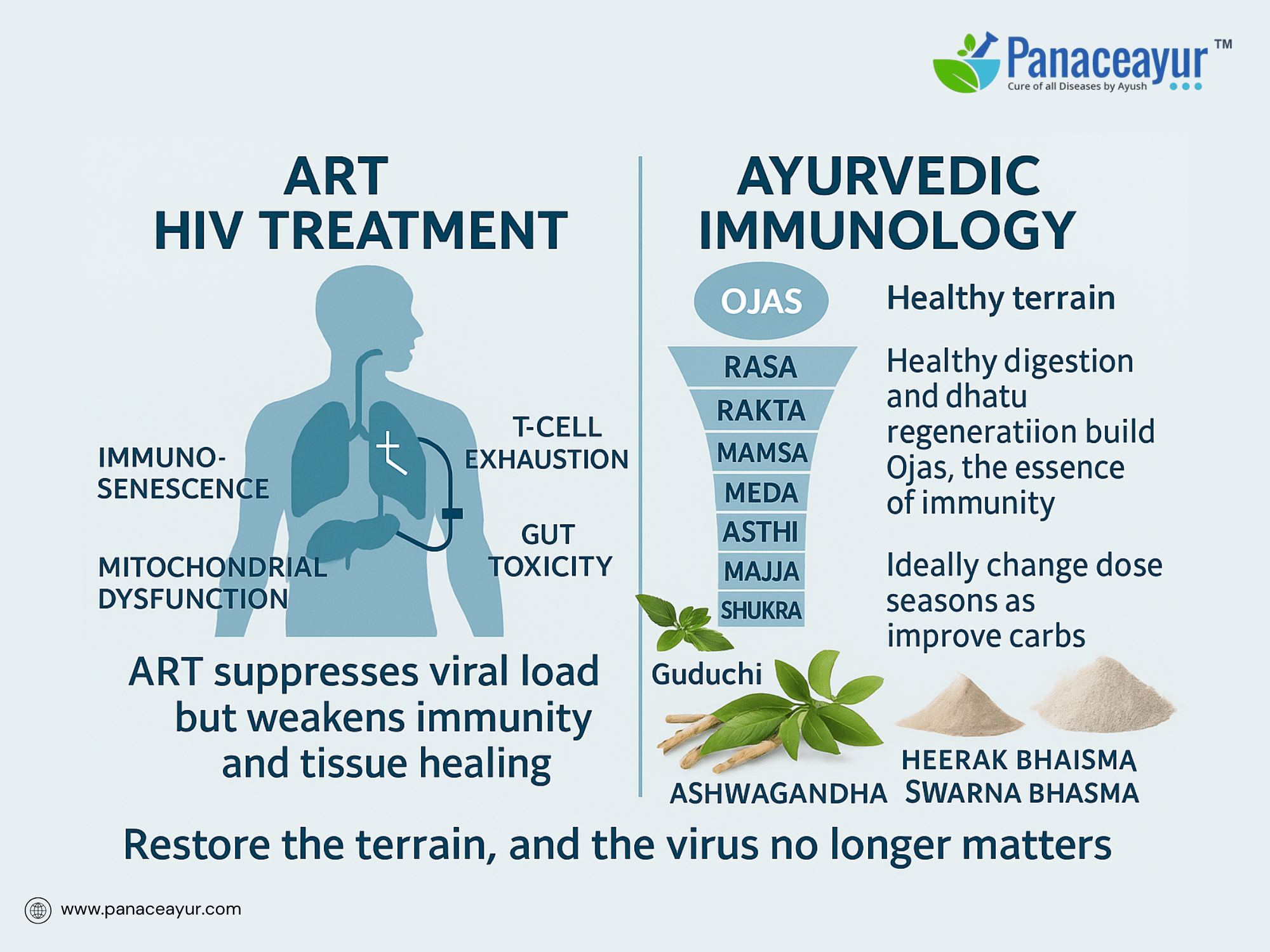 Ayurvedic Immunology – Ojas Dhatus and Beejabhava