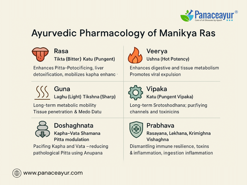 Manikya Ras For Herpes, Chronic Fatigue, Viral Infections, And Skin Disorders 2 Ayurvedic pharmacology of manikya ras