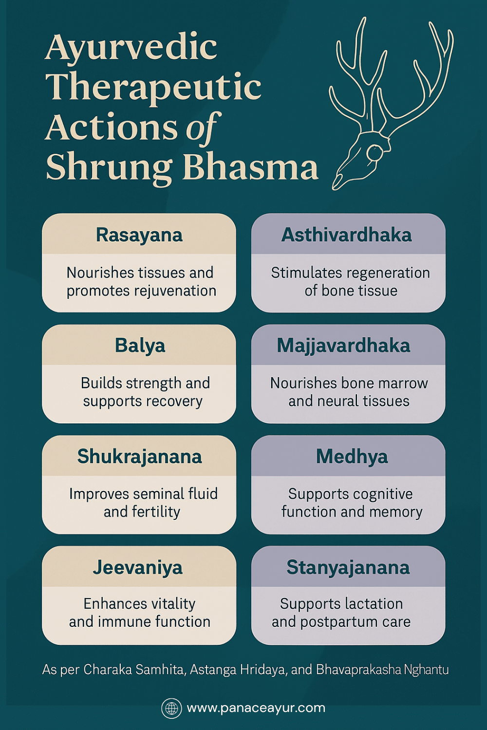 Shrung Bhasma(Shring)-Osteoporosis, Infertility, And Fatigue Recovery 2 Ayurvedic therapeutic actions karma shrung bhasma