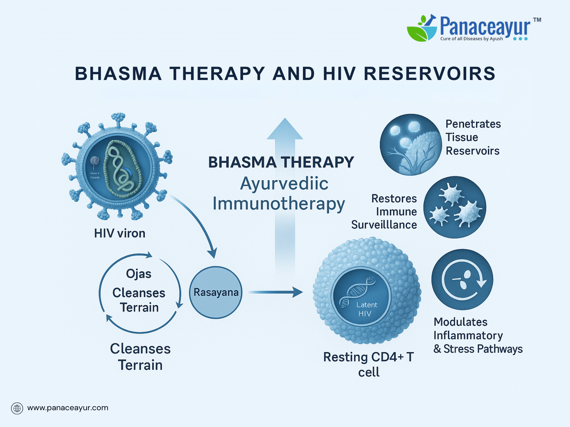 Hiv Latency Cure- Rasayana &Amp; Bhasma Ayurvedic Pharmacology 5 Bhasma therapy and hiv reservoirs