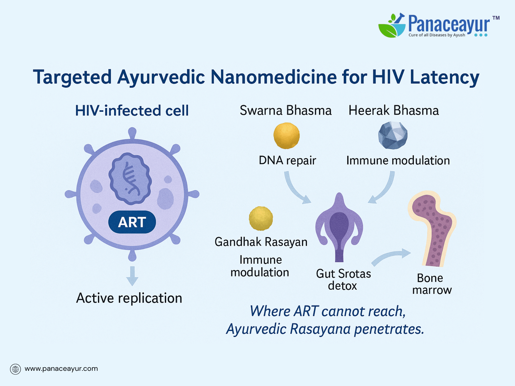 Bhasmas and rasayanas – targeted nanomedicine for hiv