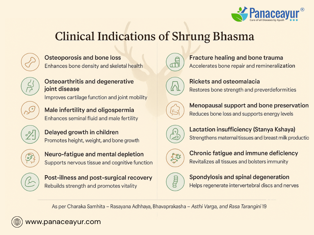 Shrung Bhasma(Shring)-Osteoporosis, Infertility, And Fatigue Recovery 3 Clinical indications of shrung bhasma
