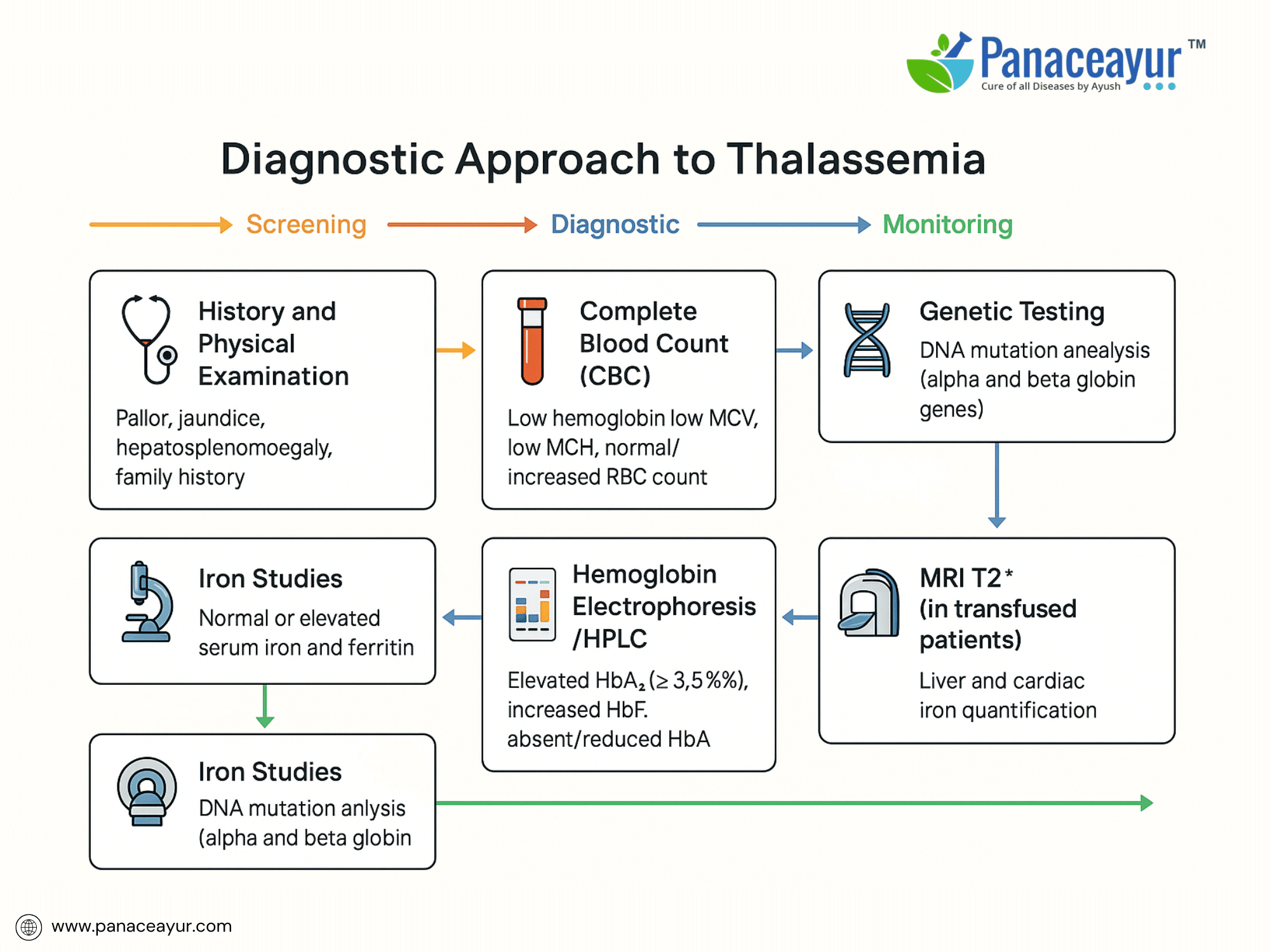 Diagnostic approach to thalassemia
