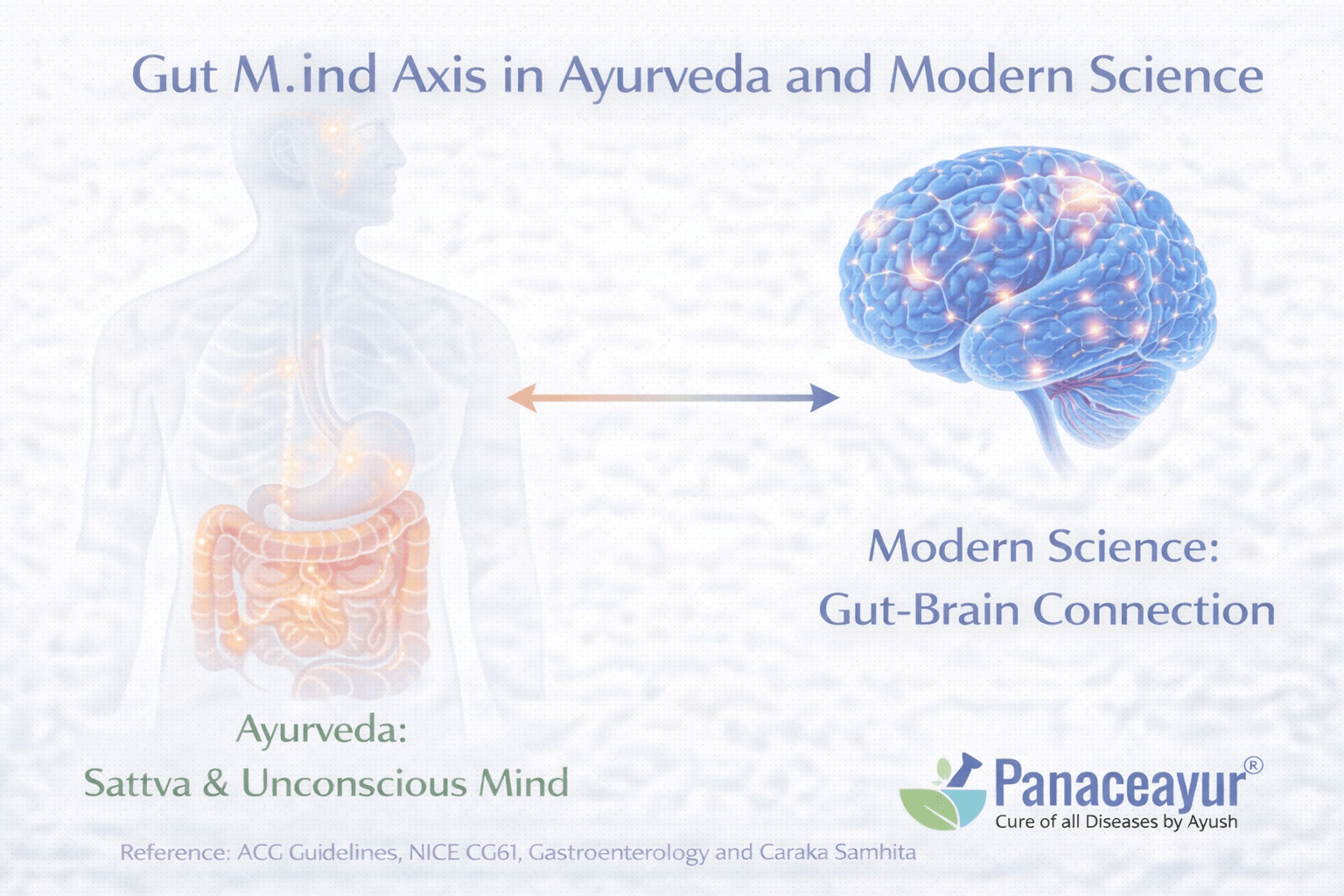 Gut–mind axis in ibs showing interaction between digestive system, nervous system, and brain regulation in ayurveda and modern science