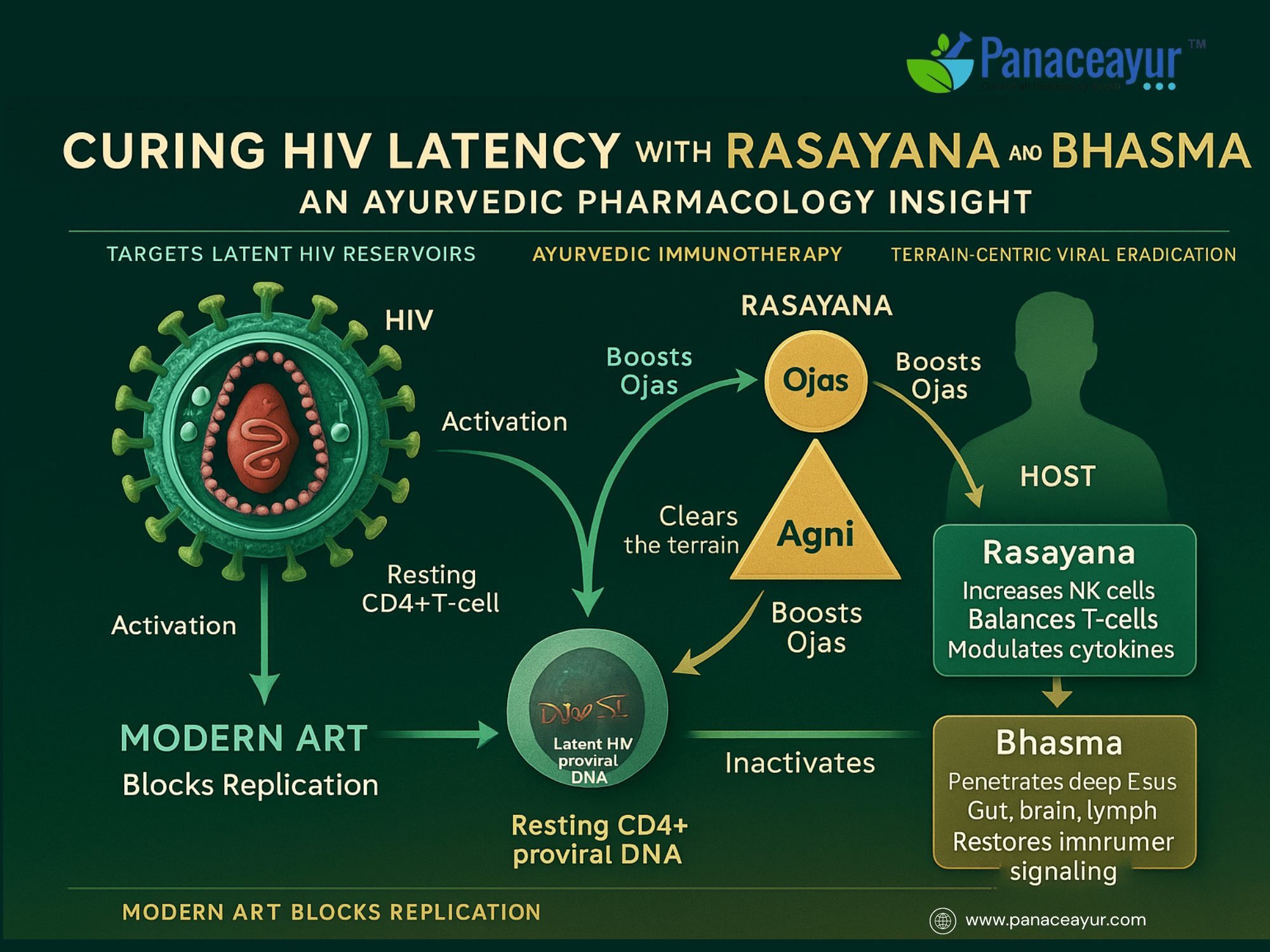 Hiv Latency Cure- Rasayana &Amp; Bhasma Ayurvedic Pharmacology 1 Hiv latency and modern limitations
