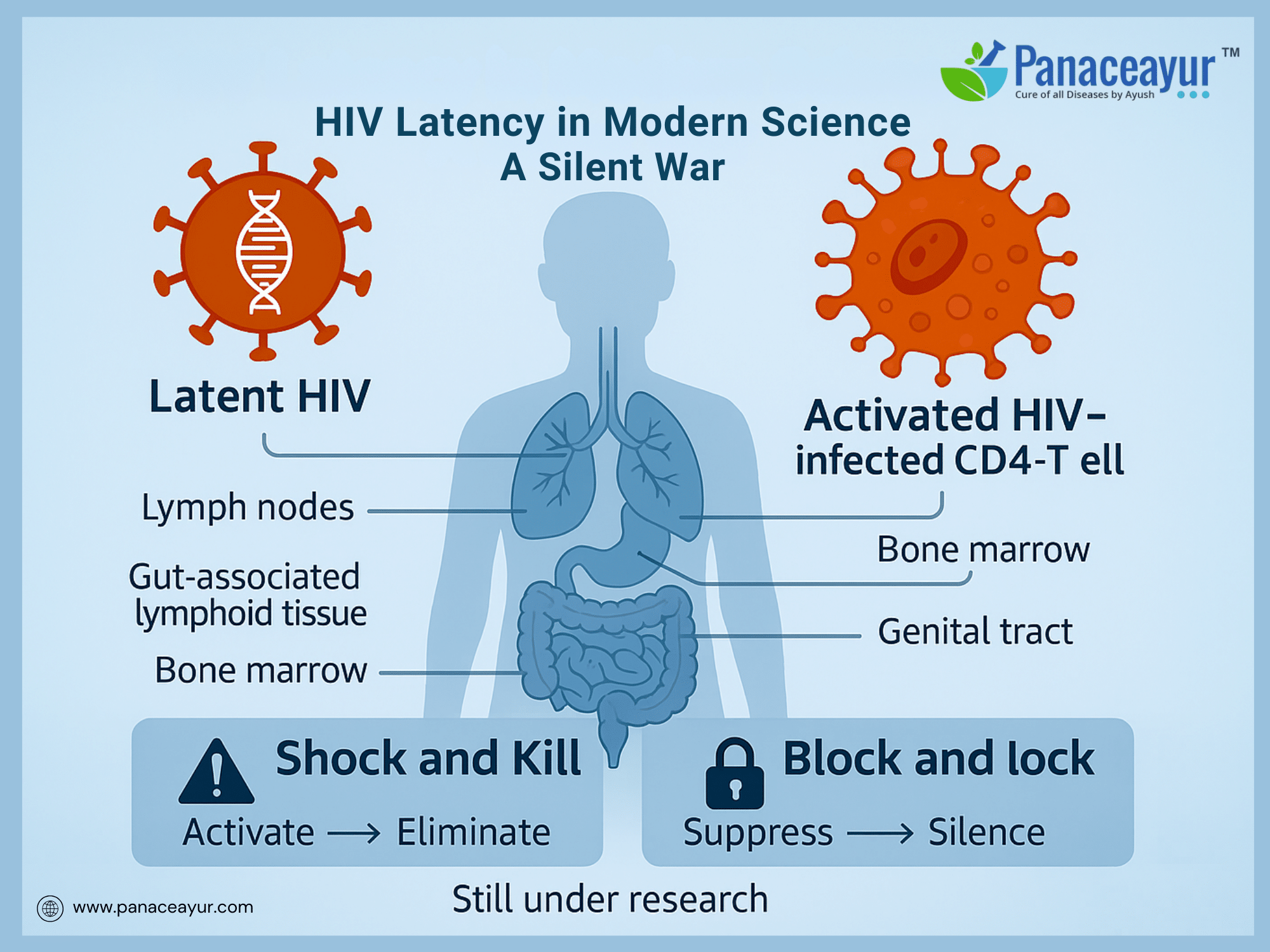 Hiv latency in modern science a silent war