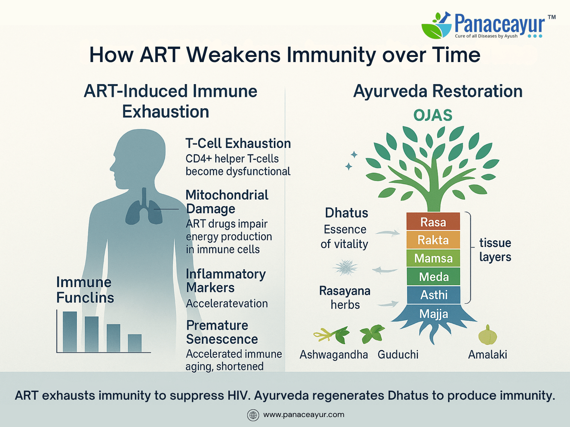 How art disarms the immune system over time