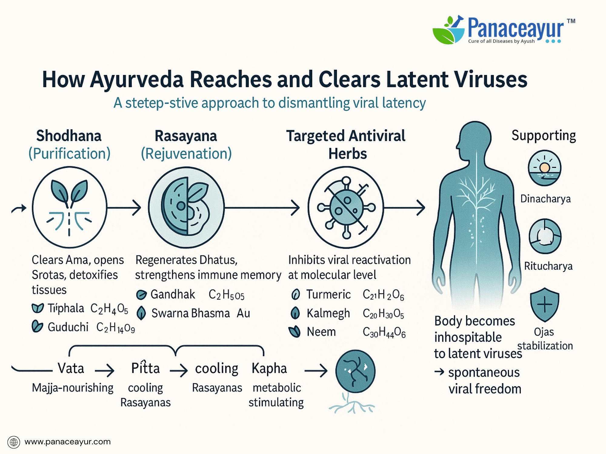 How ayurveda reaches and clears latent viruses