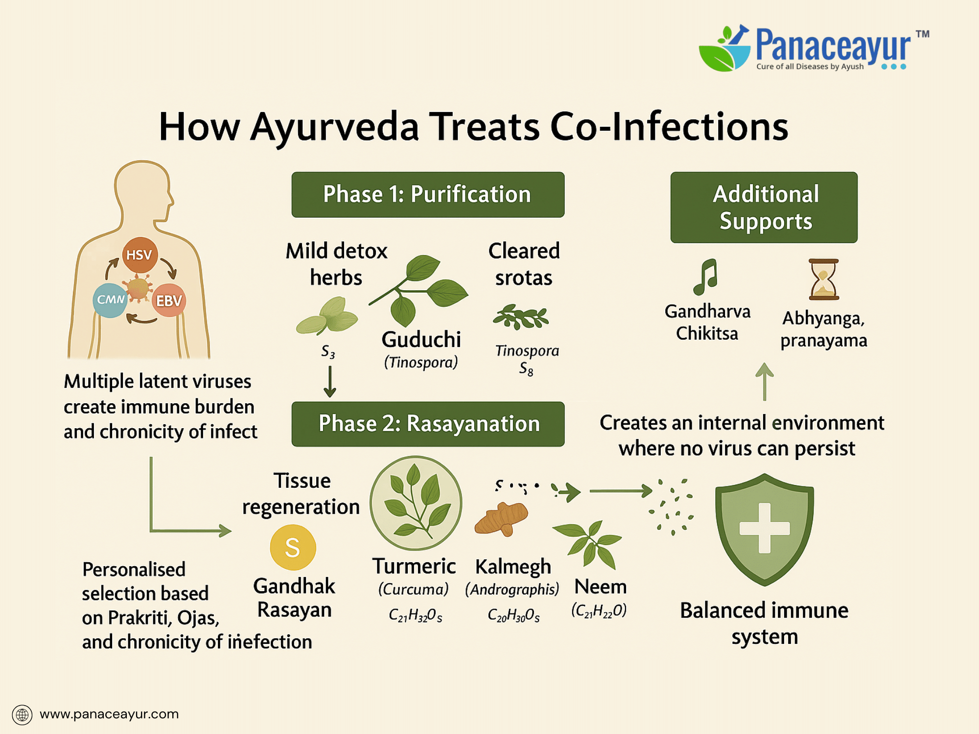 Herpes Co-Infections- Hsv-1, Hsv-2, Cmv, Ebv And Ayurveda Cure 7 How ayurveda treats co-infections