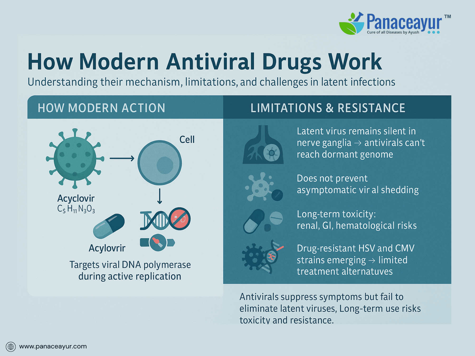 How modern antiviral drugs work