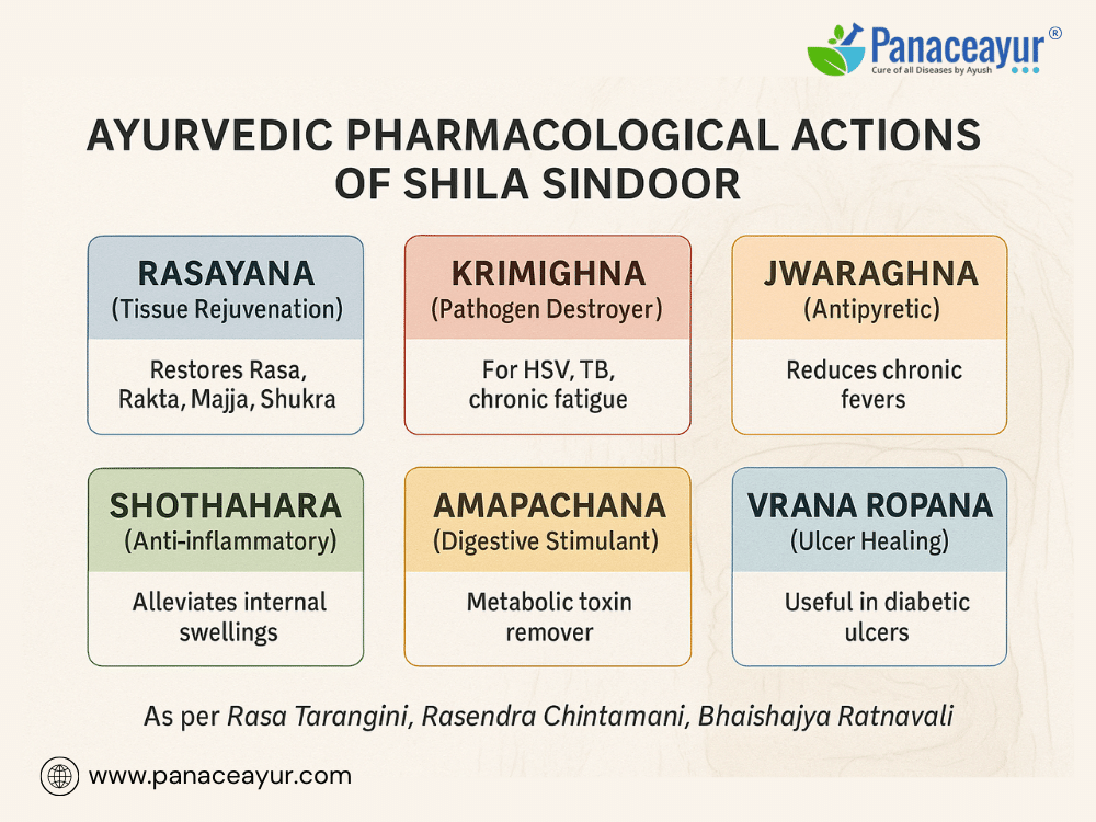 Shila Sindoor - Herpes, Chronic Infections, &Amp; Immune Restoration 1 How shila sindoor works ayurvedic pharmacological actions in detail
