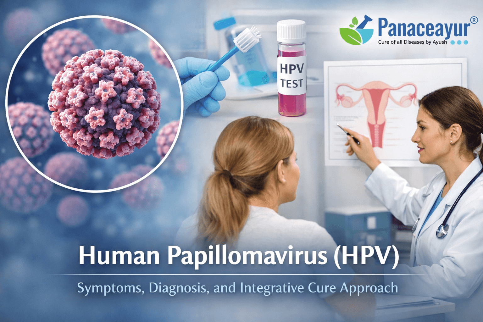 Human Papillomavirus HPV medical illustration showing virus structure, screening concepts, and immune response