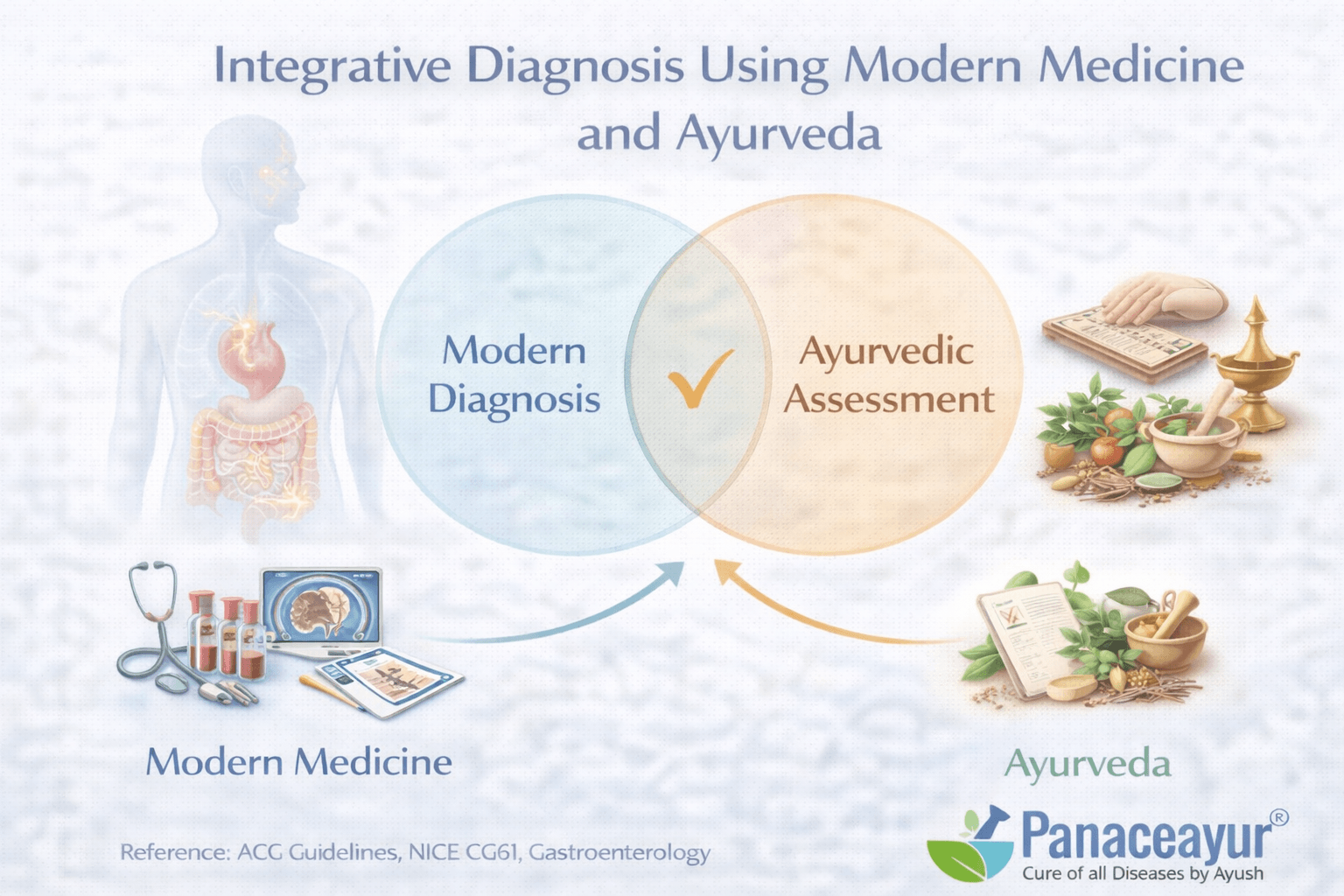 Integrative diagnosis of ibs combining modern medical evaluation with ayurvedic functional assessment of digestion and regulation