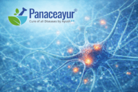 Neural pathways illustrating herpes simplex virus latency within sensory nerve cells, explaining why antiviral drugs cannot eliminate dormant infection.