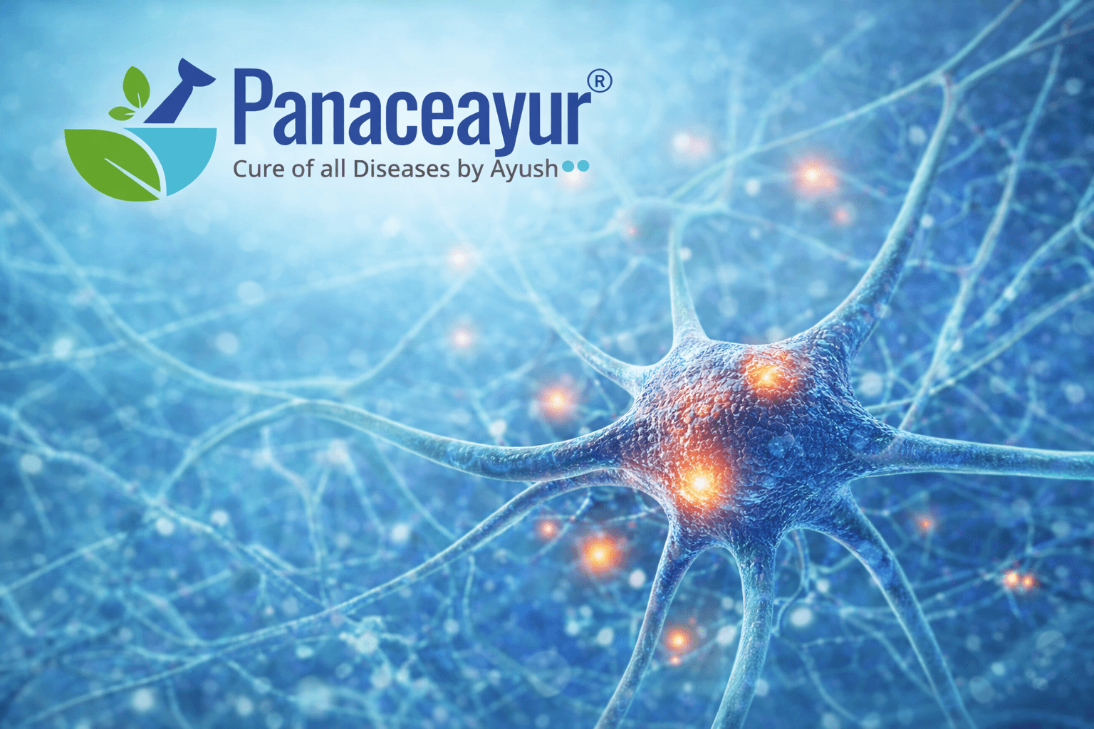 Neural pathways illustrating herpes simplex virus latency within sensory nerve cells, explaining why antiviral drugs cannot eliminate dormant infection.