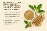 Ashwagandha roots, powder, and leaves displayed with educational text highlighting its historical and mythological significance in Ayurveda.