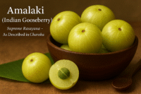 A wooden bowl filled with fresh green Indian gooseberries (Amalaki), one cut open to reveal the seed, highlighting Amalaki as the supreme Rasayana described in Charaka Samhita.