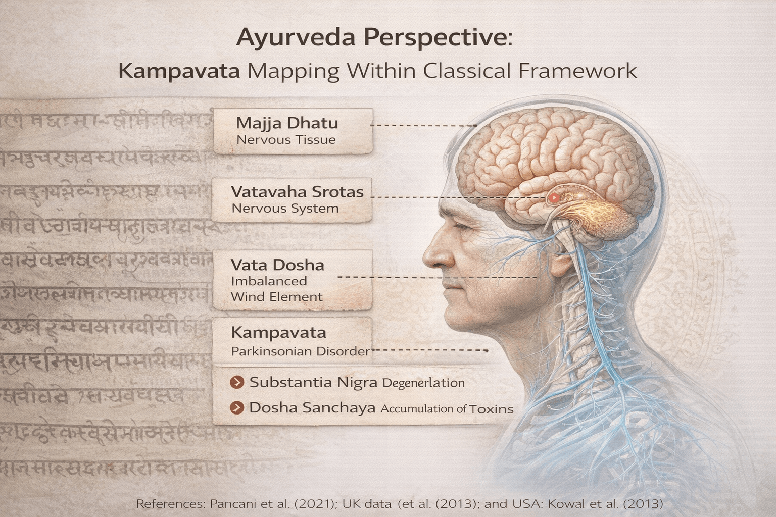 Parkinson’s Disease- Early Signs, Causes, Stages &Amp; Ayurvedic Cure Perspective 14 Make it more clinically fused with neurology