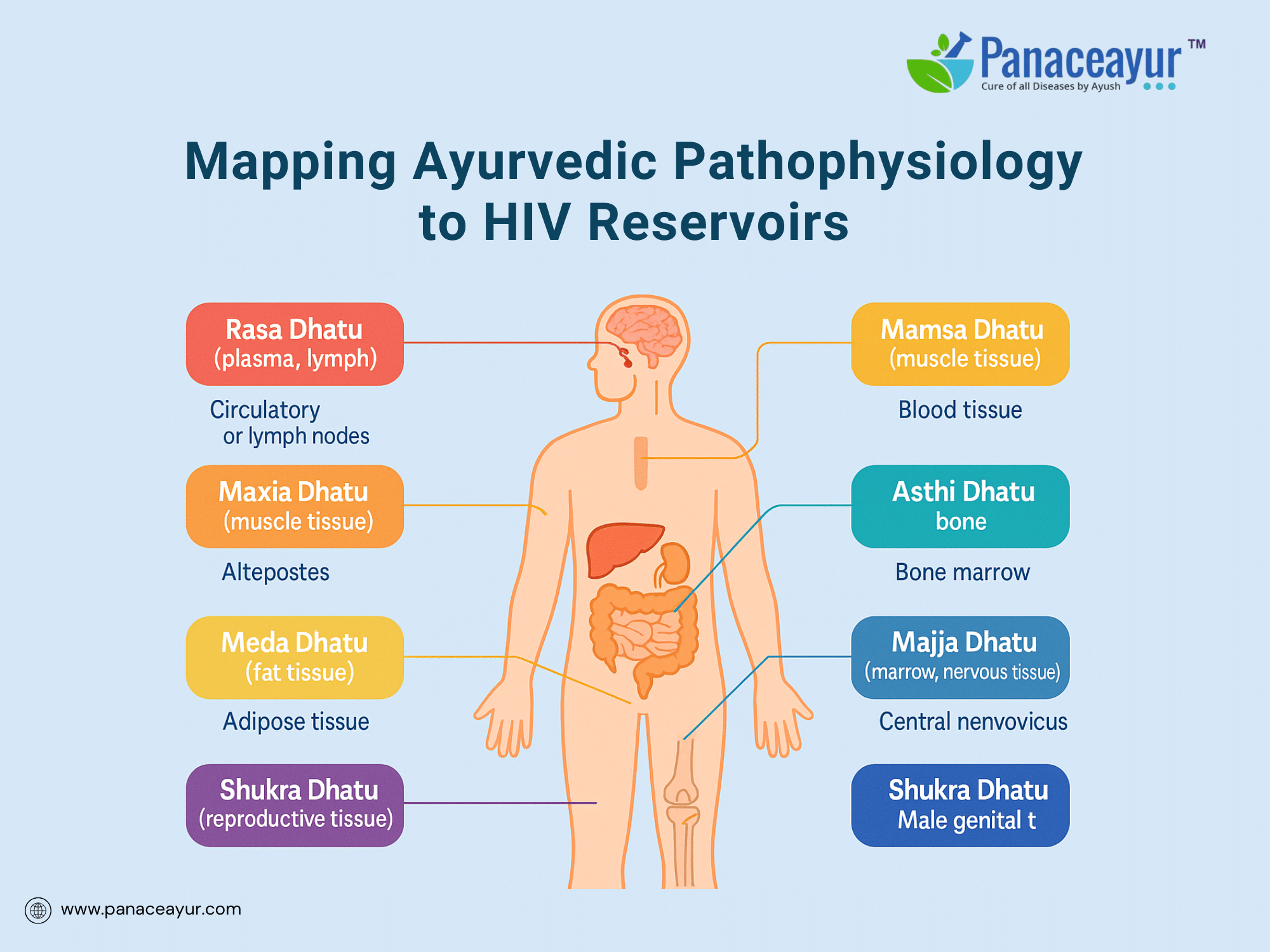 Mapping ayurvedic pathophysiology to hiv reservoirs