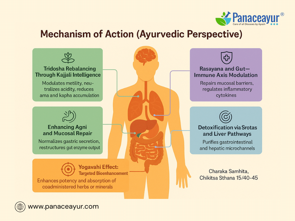 Ras Parpati For Ibs, Fatty Liver, Gerd, And Malabsorption 1 Mechanism of action ayurvedic perspective ras parpati