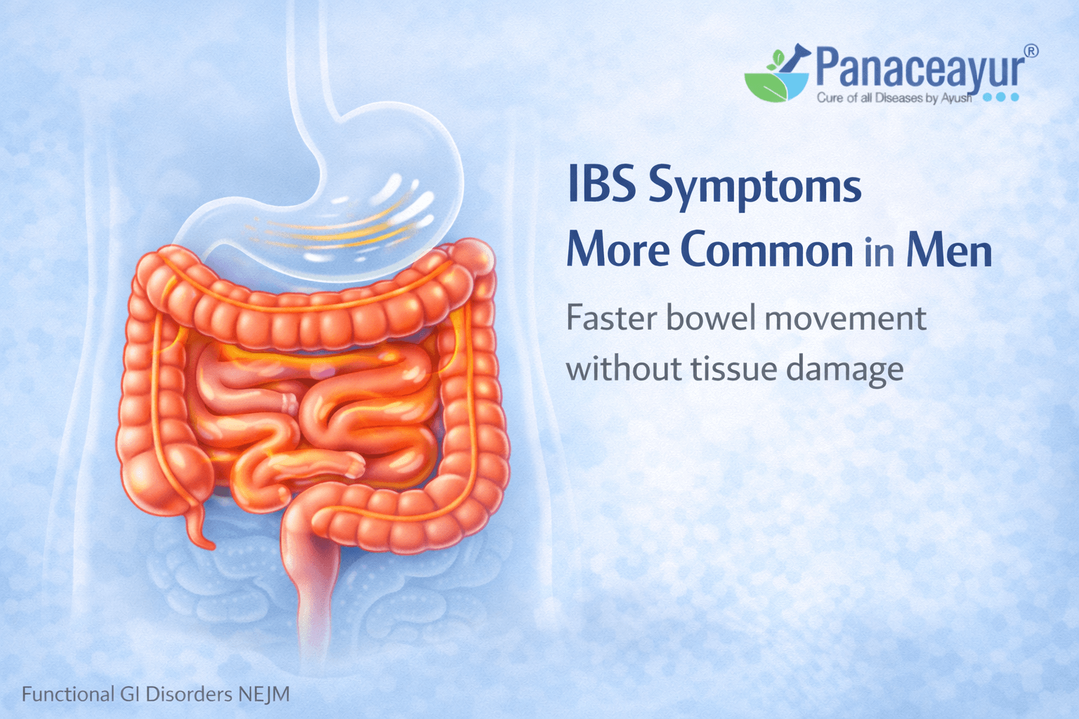 Ibs Symptoms More Common In Men Explained Ibs symptoms more common in men illustrated through faster bowel movement and functional digestive changes without structural damage, shown in a clean medical diagram with panaceayur branding