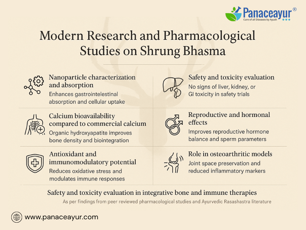 Shrung Bhasma(Shring)-Osteoporosis, Infertility, And Fatigue Recovery 4 Modern research and pharmacological studies shrung bhasma