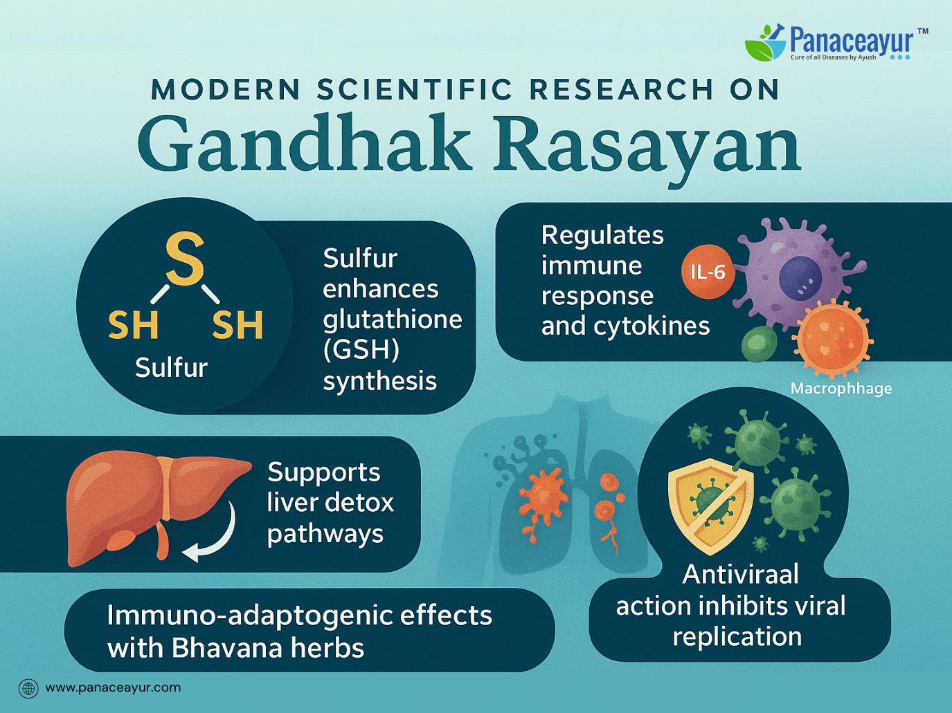 Gandhak Rasayan- Ayurvedic Sulfur Remedy For Herpes, Hiv, And Chronic Immune Recovery 3 Modern scientific research on gandhak rasayan