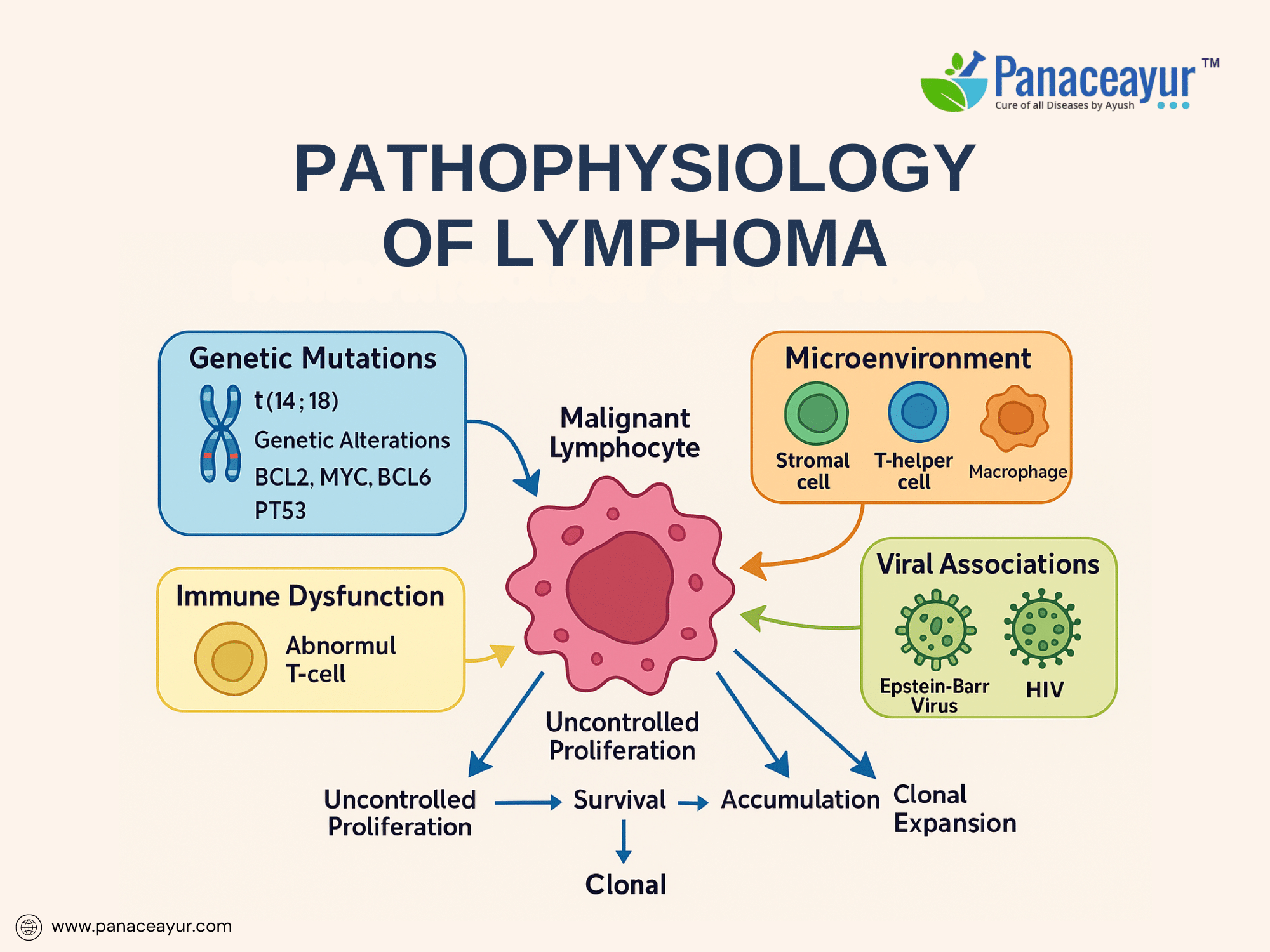 Pathophysiology of lymphoma