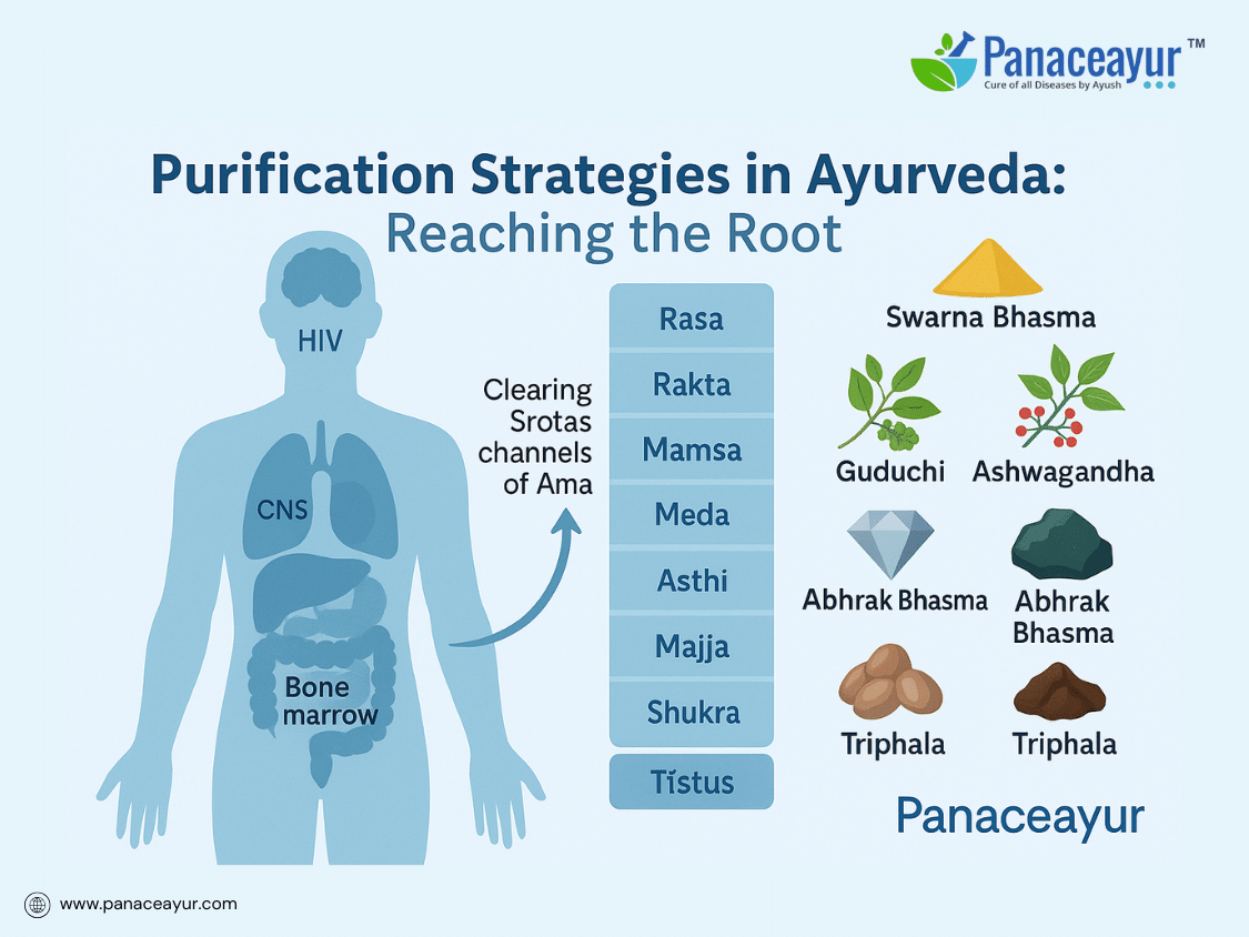 Purification strategies in ayurveda panaceayur