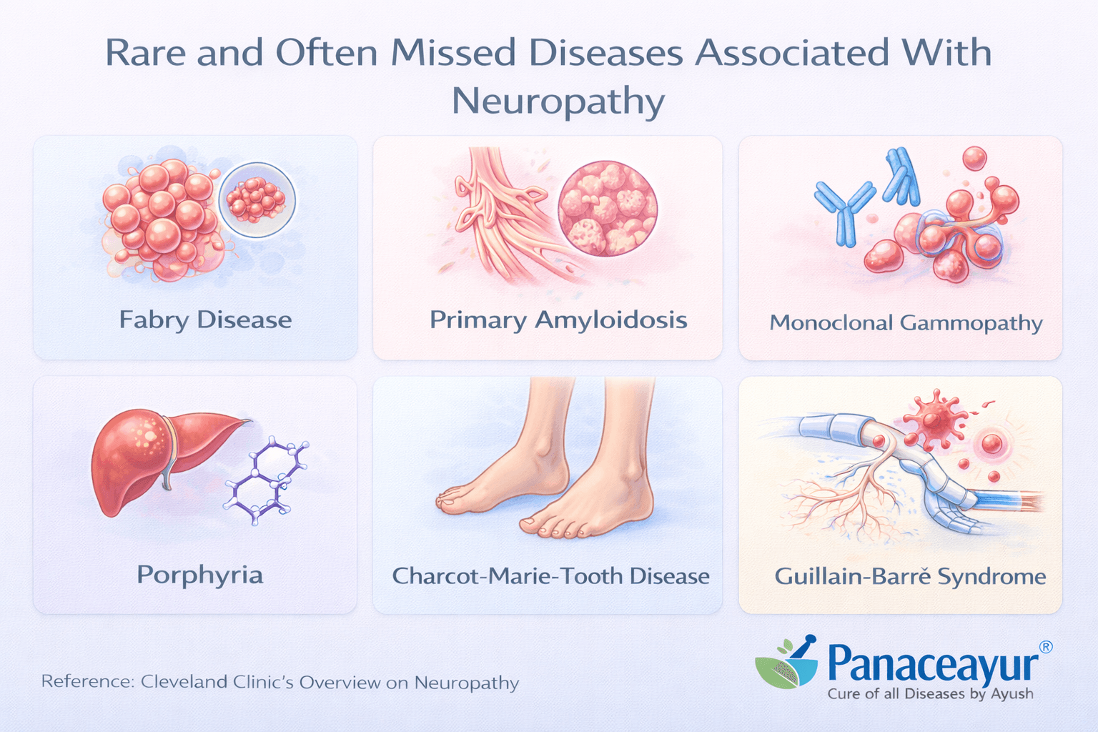 Rare and often missed diseases associated with neuropathy