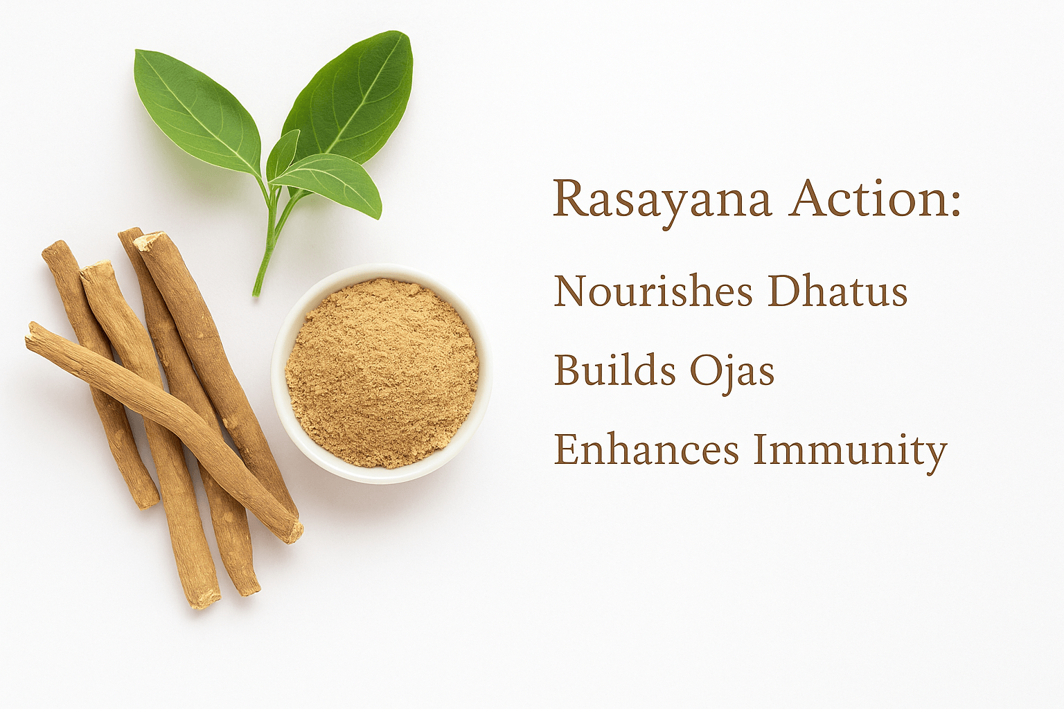 Ashwagandha: Science-Backed Benefits, Uses, And Ayurvedic Insights 3 Rasayana action and immunomodulation