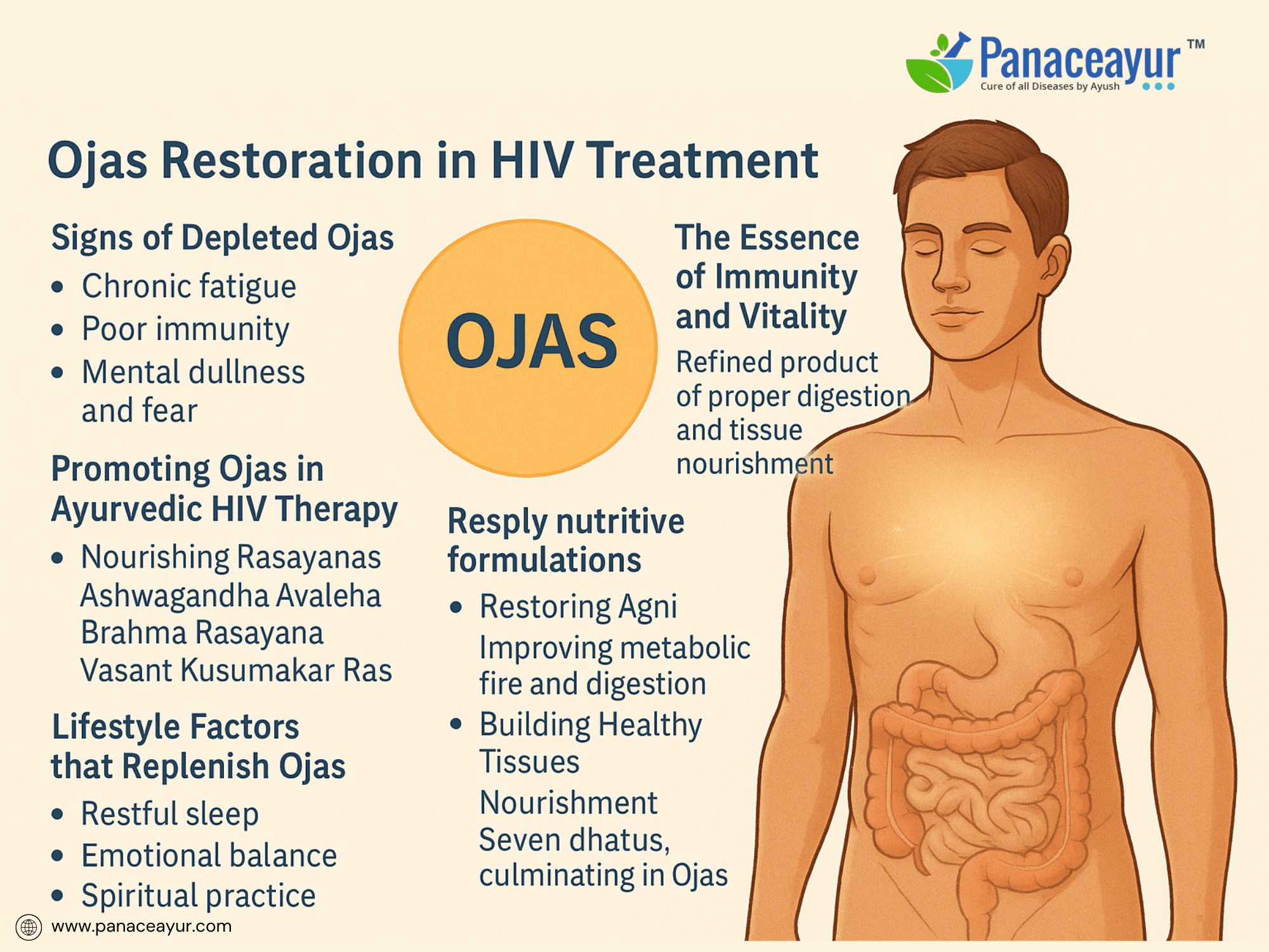 Rasayana therapy the main therapy