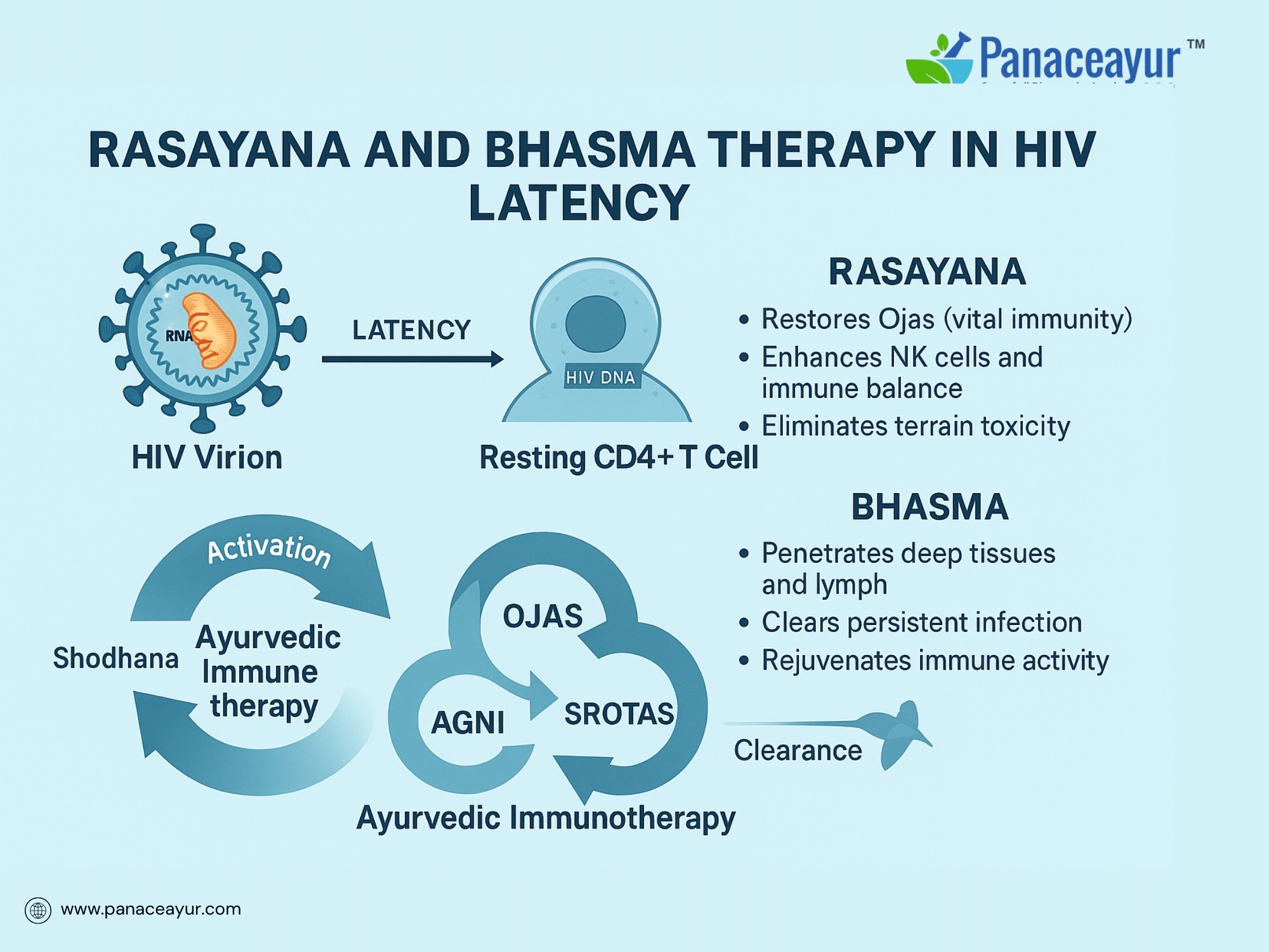 Hiv Latency Cure- Rasayana &Amp; Bhasma Ayurvedic Pharmacology 3 Rasayana therapy and immune regeneration