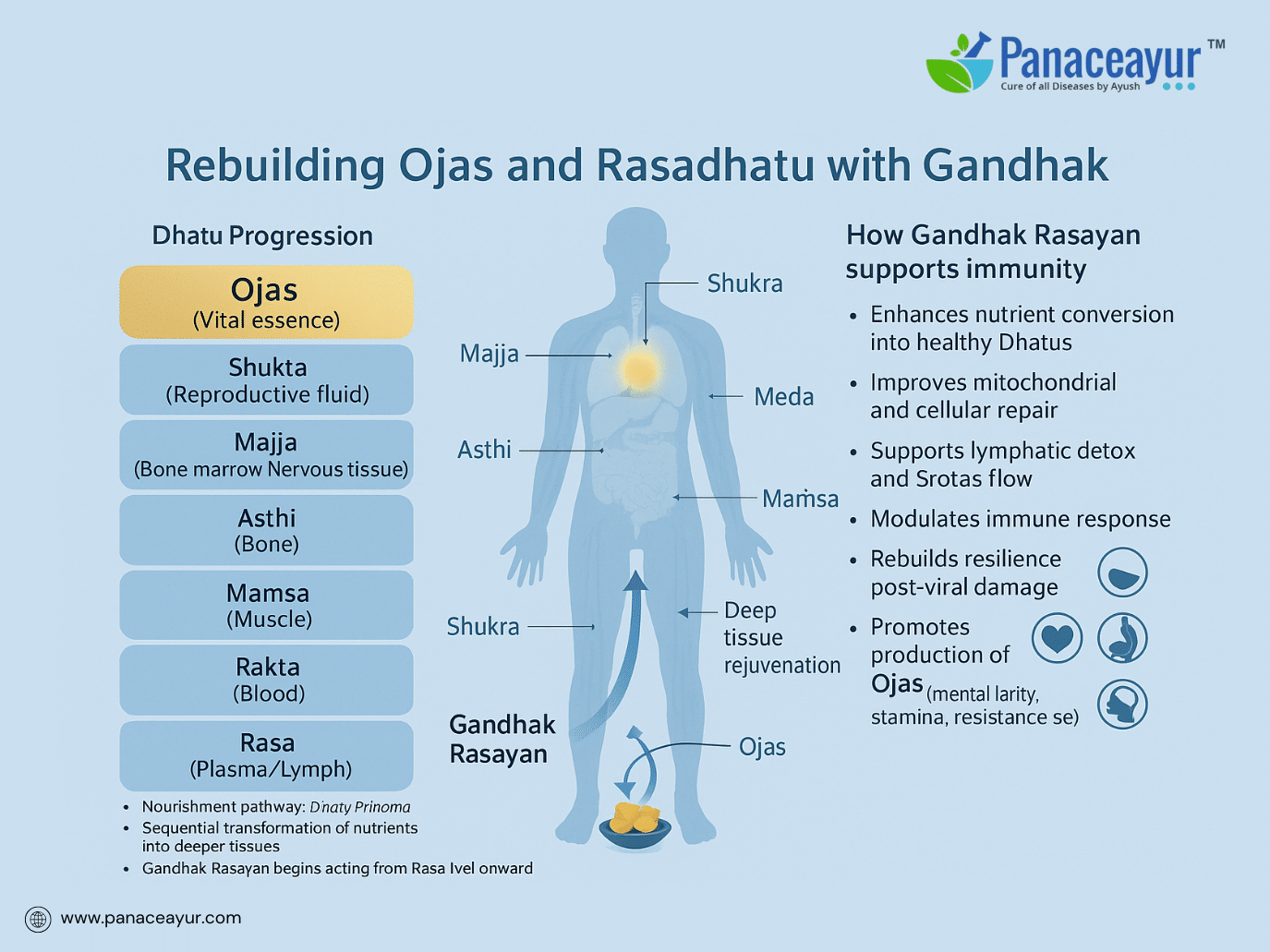 Gandhak Rasayan- Ayurvedic Sulfur Remedy For Herpes, Hiv, And Chronic Immune Recovery 5 Rebuilding ojas and rasadhatu with gandhak