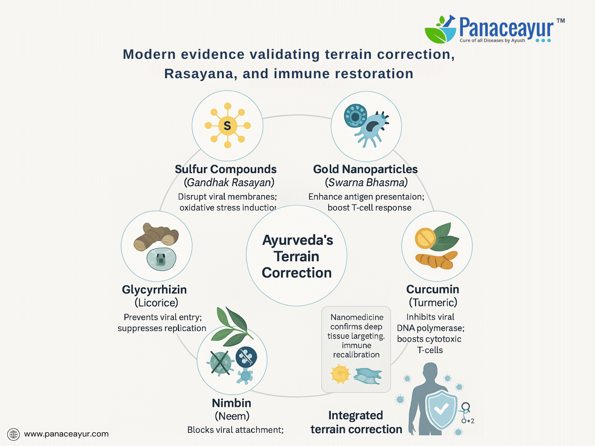 Scientific research modern evidence validating terrain correction, rasayana, and immune restoration