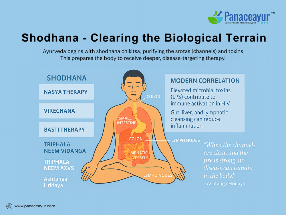Shodhana clearing the biological terrain