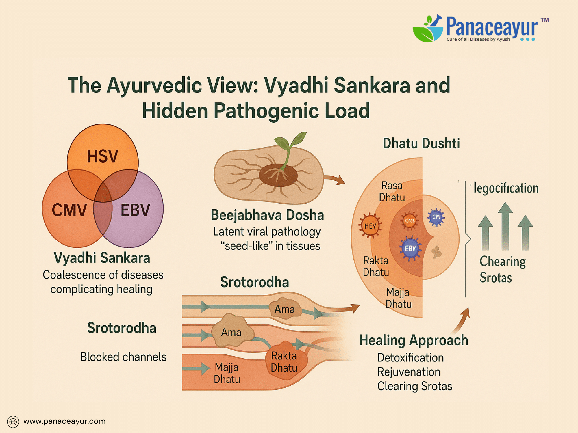 Herpes Co-Infections- Hsv-1, Hsv-2, Cmv, Ebv And Ayurveda Cure 5 The ayurvedic view- vyadhi sankara and hidden pathogenic load