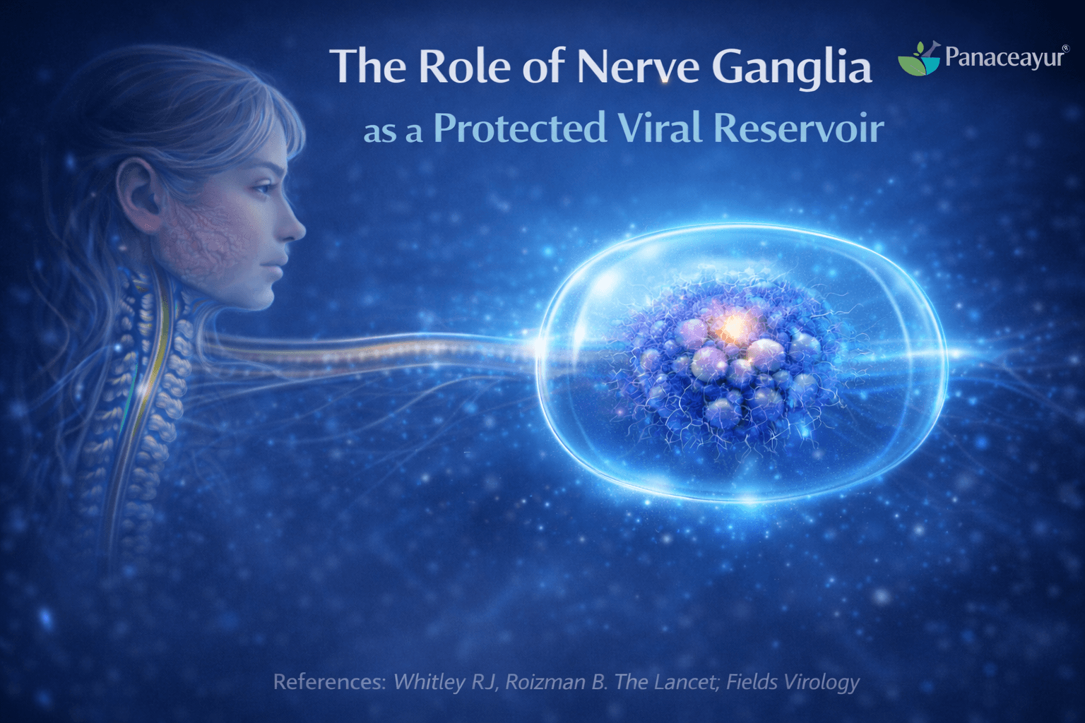 Clinical illustration showing sensory nerve ganglia acting as a protected reservoir for dormant herpes virus with soft biological glow