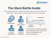 The Silent Battle Inside