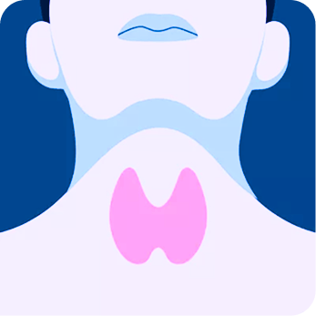 Thyroid