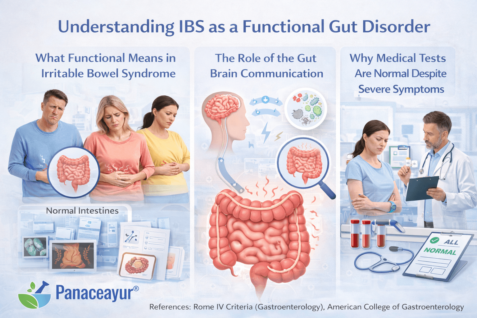 Understanding ibs as a functional gut disorder infographic showing normal intestines, disrupted gut brain communication, and normal medical tests despite persistent ibs symptoms