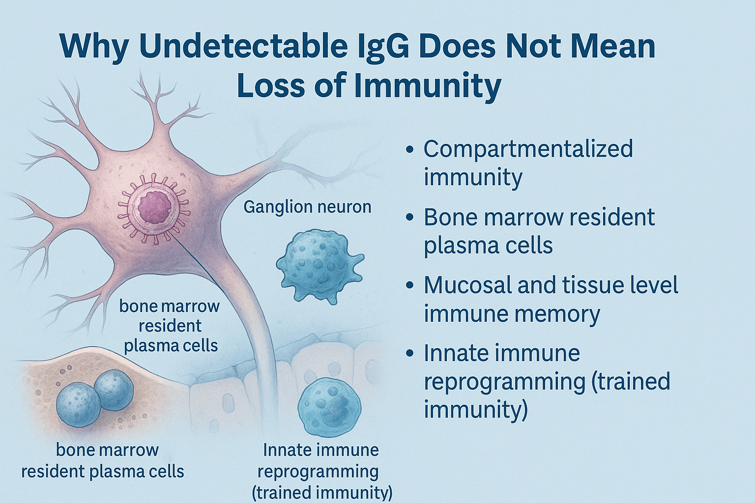 Why Undetectable IgG Does Not Mean Loss of Immunity