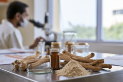 Standardized Ashwagandha root extract studied in a modern clinical research laboratory for safety and liver monitoring.