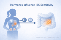 Medical illustration showing how estrogen and stress hormones influence gut sensitivity and pain signaling in women with irritable bowel syndrome.