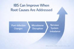 Clinical infographic showing improvement in irritable bowel syndrome when post-infectious changes, microbiome disruption, and nervous system imbalance are addressed.